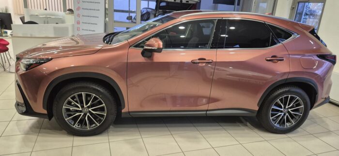 40a6703036e48d49a8cc03d888ea97833accea2666e50d08872aa250496f9af5