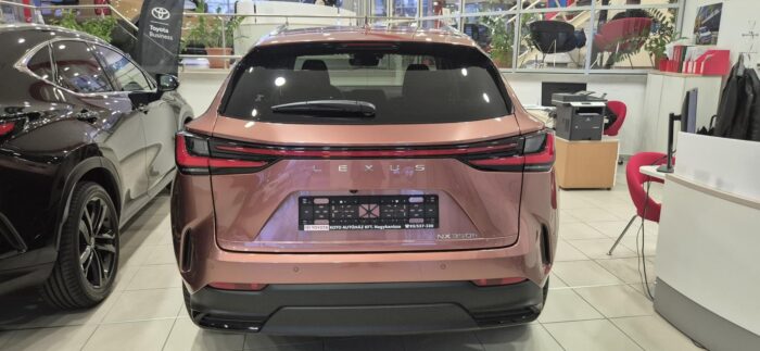 cd8fd6a1056ffcbcd983748bea750e7be9ff811e9f47542c1d0f664496ba9c9f